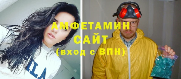 индика Балабаново