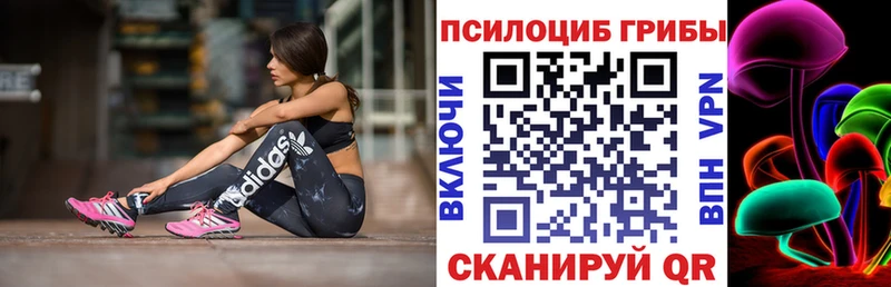 Псилоцибиновые грибы GOLDEN TEACHER  Удомля 